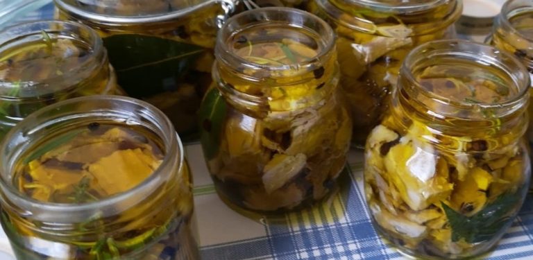 Tonno del chianti | RICETTA antica di maiale recuperata ...